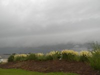 The gust front which accompanied was no more than about 25-30 mph gust